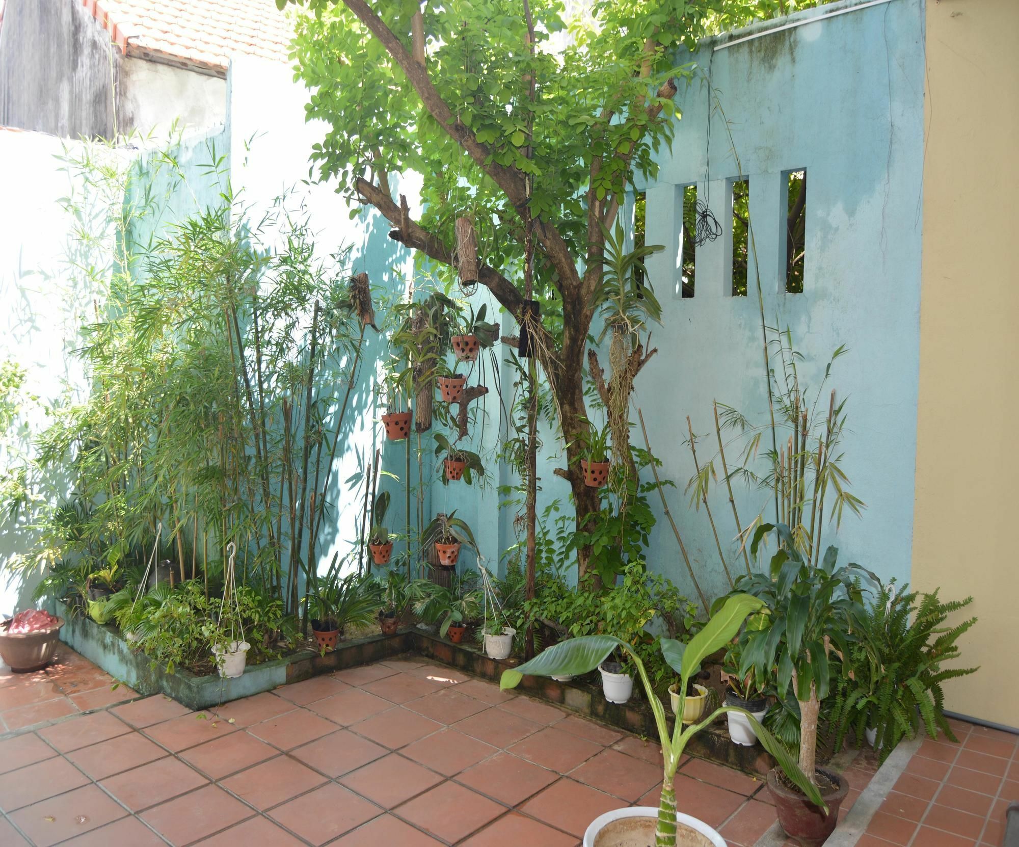 Orchids Homestay Hội An Kültér fotó